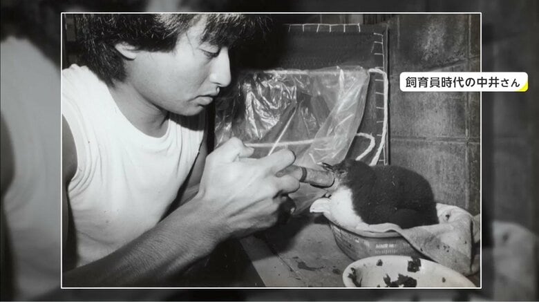 「キタイワトビペンギン」を飼育する中井さん
