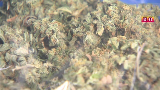 「ゲートウェイドラッグ＝様々な薬物の入り口」とも言われる大麻