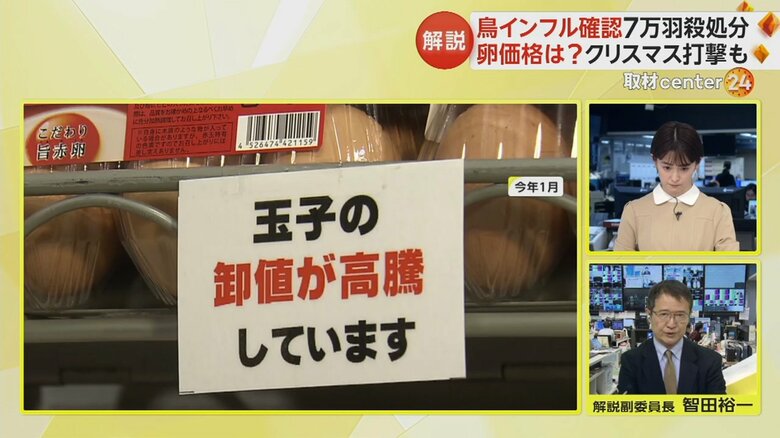 昨年のスーパーに並んだ卵の映像。「卸値が高騰しています」というポップが貼られている