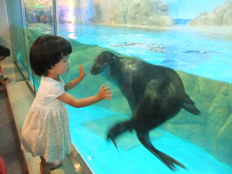 2歳当時の工藤さんの娘　工藤さん「重度の知的な遅れがある自閉症の娘は不器用で、おもちゃで遊ぶことはできませんでしたが、小さい頃から自然が大好きで水族館では何時間でも海の生き物を眺めて過ごしていました」