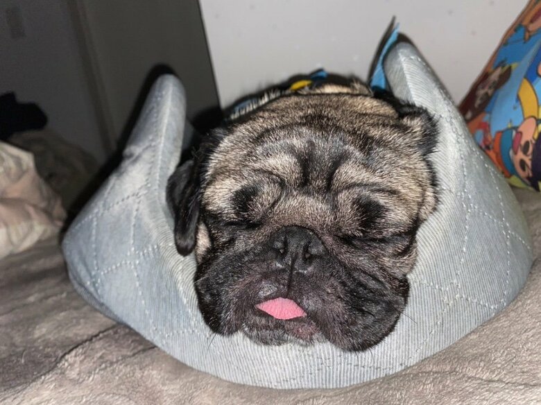 提供：ボンさん