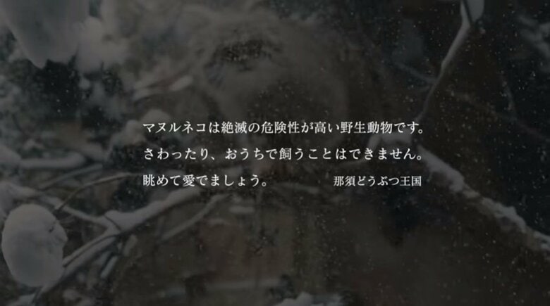 出典：那須どうぶつ王国公式YouTube
