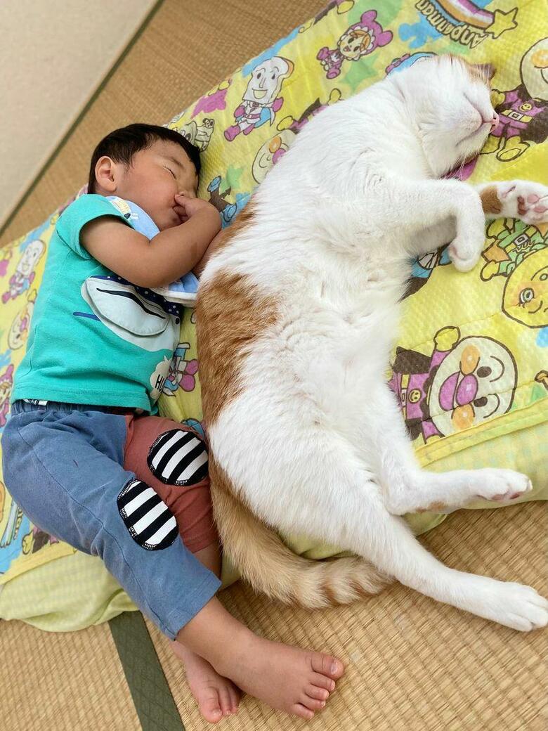 提供：Hassakuさん