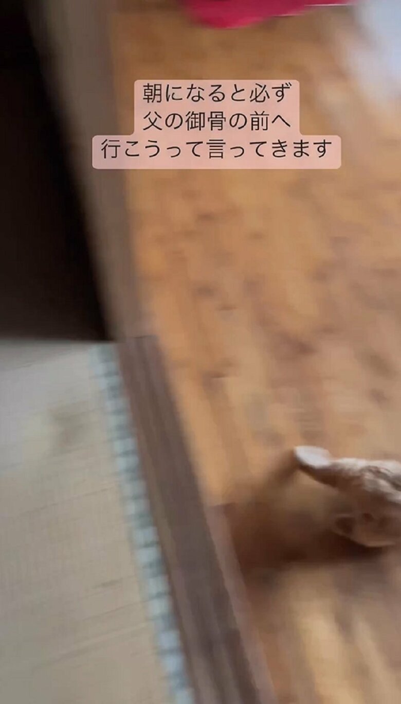 その後、満足したのかちびくんは去ってしまった