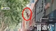 【危機一髪】102歳の女性がビル３階から身を乗り出し“宙返り”しながら転落…道路で待ち構えた人たちが“キャッチ”！女性は軽いケガ　中国・河南省