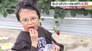ゴールデンウィークはイチゴ狩り　食べ比べが楽しめる『まるなかファーム』は大賑わい　福島・二本松市