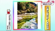 みつけタグラム 川面に青空 錦秋の美【愛媛】