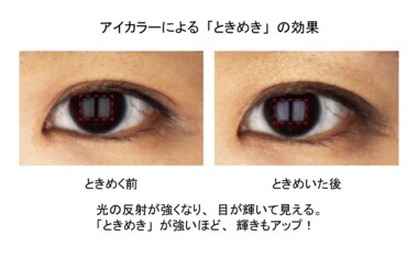 「ときめくと目が輝く」を実証!アイカラーがもたらす「ときめき」の秘密
