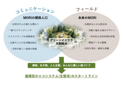 TISI、地域共創とデータ活用により埼玉県横瀬町の住民参加型森林再生プロジェクトを支援