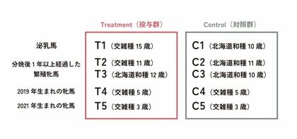 帯広畜産大学、紀州ほそ川飼料による『抗酸化作用を有する競走馬用梅抽出物補助飼料が、北海道和種およびその交雑種の血液生化学的性情および吸引卵子成熟率に及ぼす影響』の演題発表。【Vitav(バイタブ)】