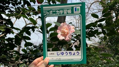 ジャポニカ学習帳の表紙の“聖地巡礼”!? 投稿者にお気に入りを聞いた