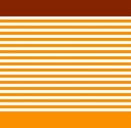 日清食品HD　世界初のインスタントラーメン「チキンラーメン」パッケージ配色を商標登録　長年デザイン守り続け