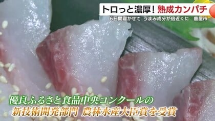 トロっと濃厚！「熟成カンパチ」 研究熱心な料理人が約６年かけて開発した逸品【鹿児島発】