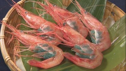 「もう深海のスイーツや」と彦摩呂さんも絶賛の金沢甘えび…底引き漁の解禁日に密着——漁師たちの14時間と絶品料理の舞台裏 食べるをつなぐ『HUBEAT』