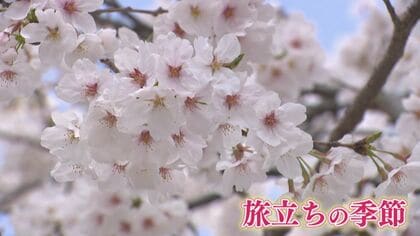 見送られる人 見送る人  初めての上京…  笑顔と涙の“旅立ちの季節”  空港スケッチ2025春 【福岡発】