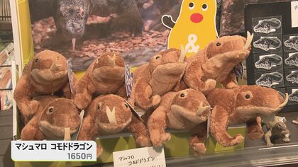 ネズミを一瞬で丸飲みに…『コモドドラゴン』東山動植物園で23日から