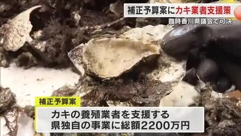 養殖カキ大量死などでダメージ受ける業者を県独自で支援へ　総額２２００万円が臨時県議会で可決【香川】