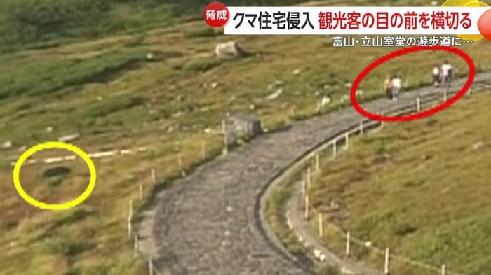 近くの遊歩道には観光客の姿