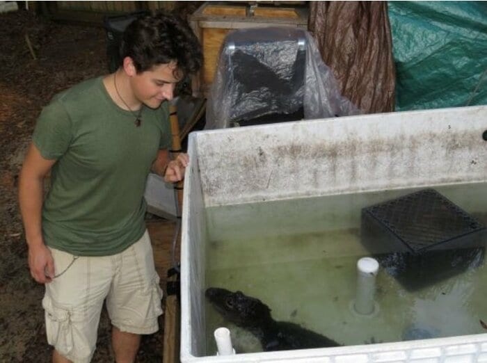 水槽に入ったヨウスコウワニ(提供:Judith Janisch氏)