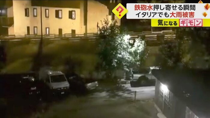 川沿いの木が土砂でなぎ倒される