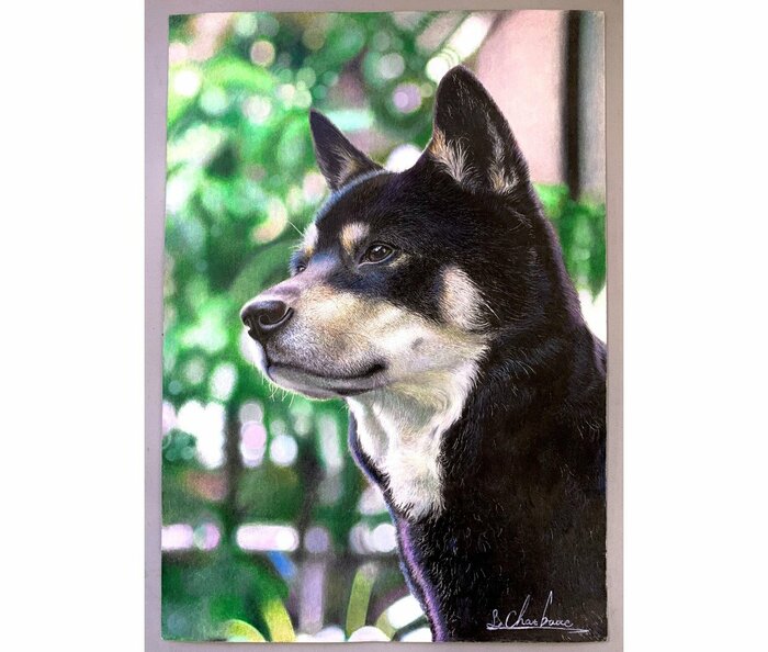 高校生時代に描いた犬(提供:長靴をはいた猫さん)