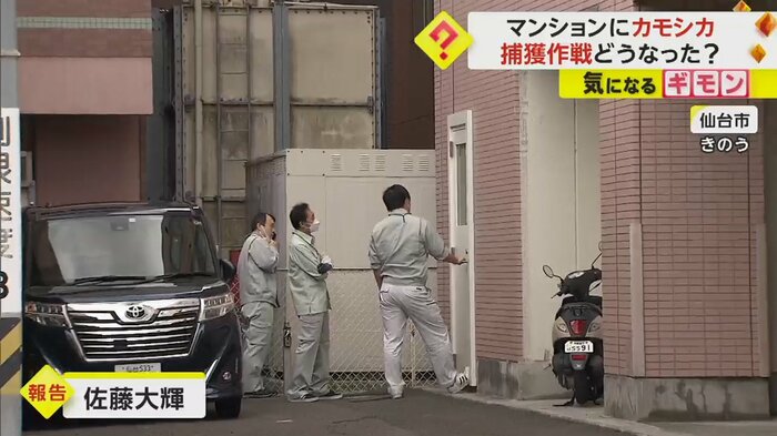 市の職員がカモシカが逃げ込んだドアの前で待機している