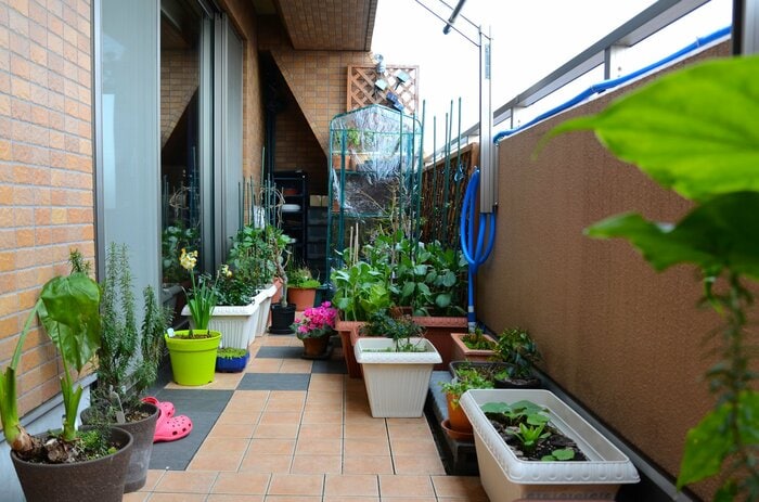 植木鉢などは屋内に入れるかしっかり固定を(画像はイメージ)