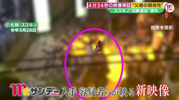 画面左のステージに向かい、最前列で踊る瑠奈容疑者
