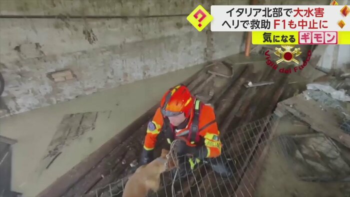 取り残されていた犬が救助されている