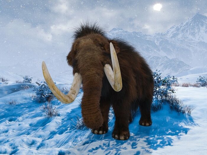 温暖化の影響をうけ滅びたマンモス