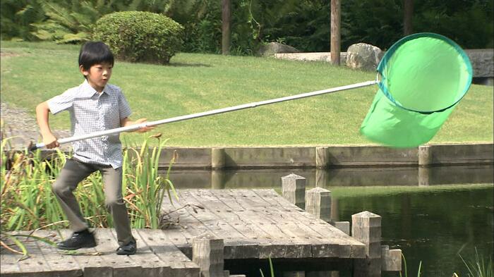赤坂御用地内で昆虫採集 2015年