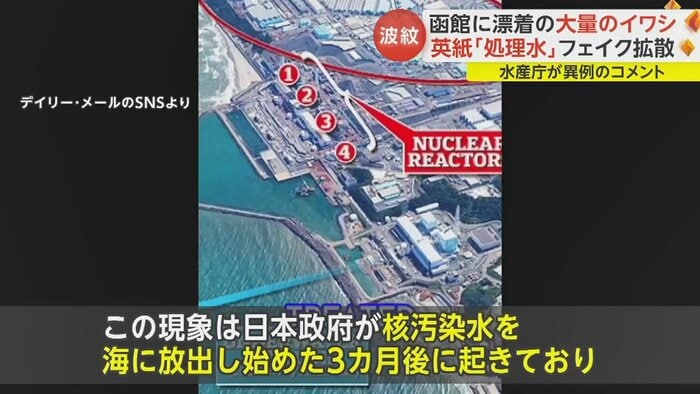 「これが地元の生態系を破壊しているのではという臆測を呼んでいます」