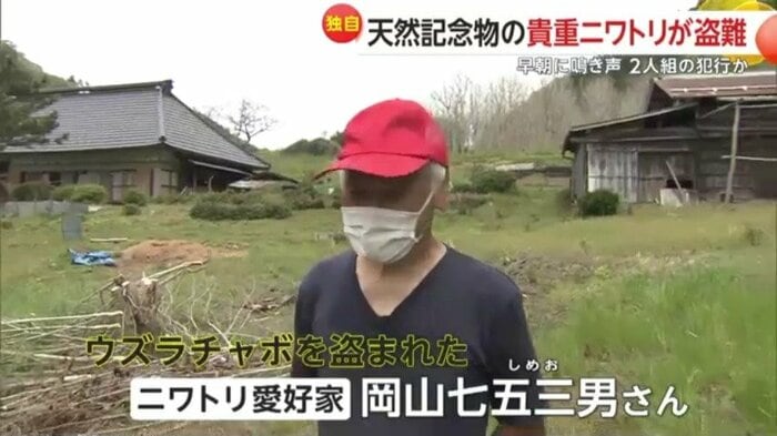 ニワトリ愛好家の岡山さん