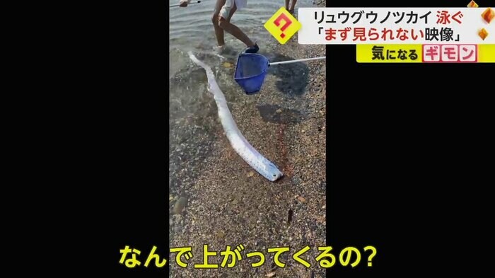 (FNN投稿サイト「ビデオPost」)