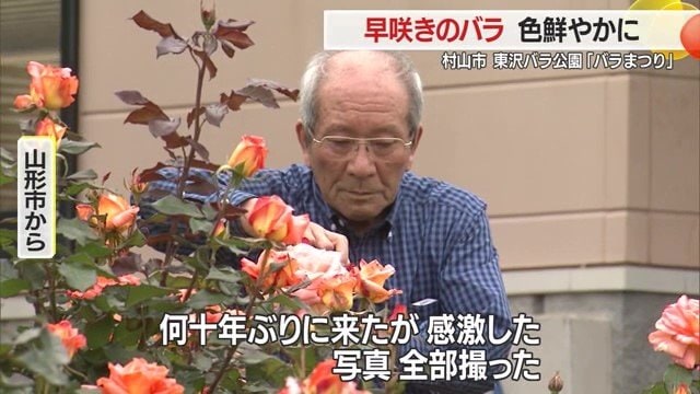 園内でお気に入りのバラを撮影するのも楽しみ方のひとつ