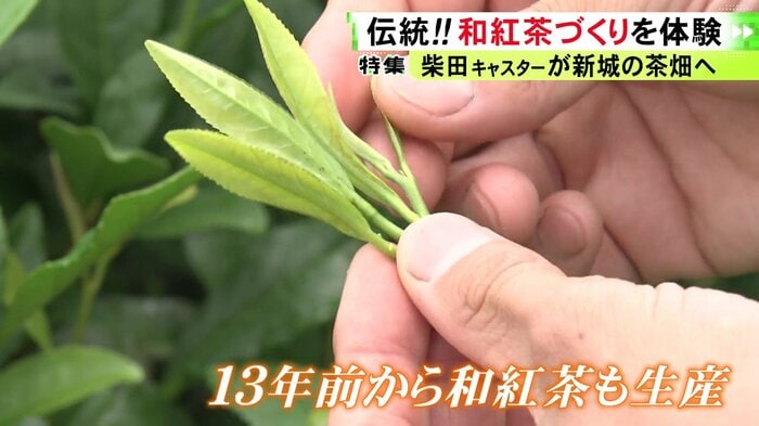ニュースONE