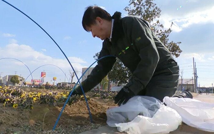 公園の花壇を清掃する草島さん