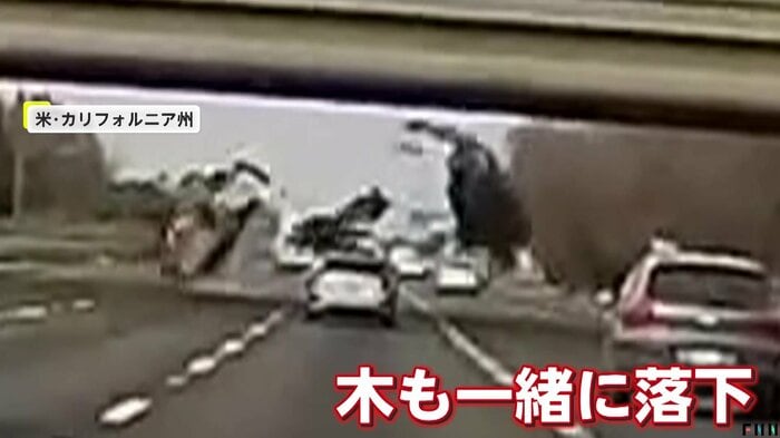 車を挟むように左右に分かれて落下してきた木(Kyman Jeung /TMX)