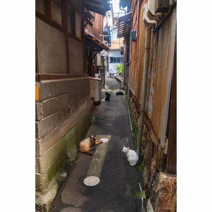 岡山県下津井田之浦（2022年9月撮影）