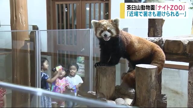 異例のお盆休み後半 茶臼山動物園『ナイトZOO 』にぎわう 来園者「近場で暑さも避けられる…」