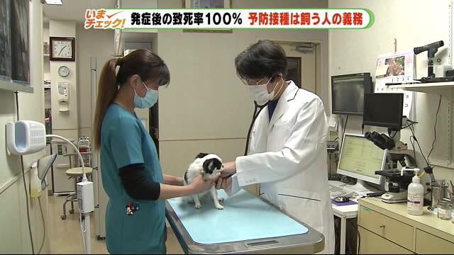 狂犬病-予防接種が唯一の対策 獣医師「発症すれば人も動物もほぼ100パーセント亡くなる」 静岡