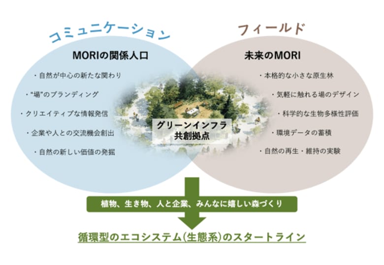 TISI、地域共創とデータ活用により埼玉県横瀬町の住民参加型森林再生プロジェクトを支援