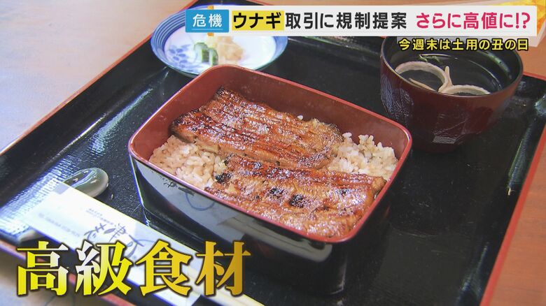 ウナギさらに高価に？EUが取引規制提案　養殖業者「闇取引起きる」”安く売れが家訓”料理店は不安隠せず｜FNNプライムオンライン