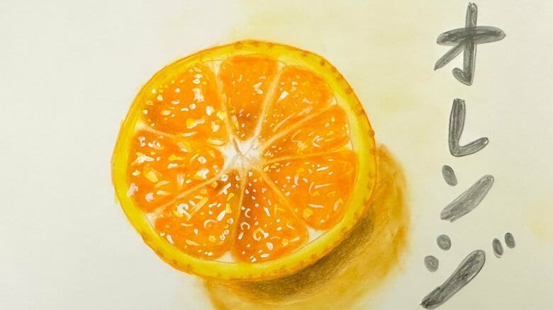 「クオリティ高すぎ」小3娘が色鉛筆で描いたオレンジがみずみずしくておいしそう…さりげない“遊び心”も親譲りだった｜FNNプライムオンライン