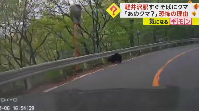 【軽井沢駅すぐ近く】熊が道路横切る「同じクマだったら怖いな…」　同日朝10キロ先で男性襲われ重傷　注意呼びかけ　群馬｜FNNプライムオンライン