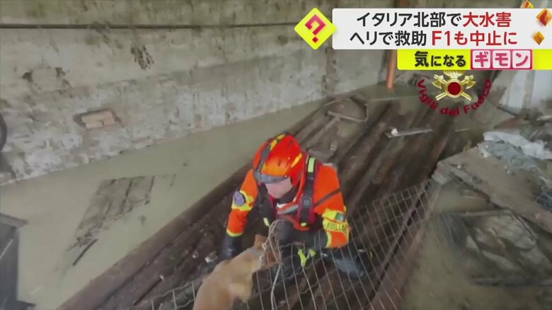 取り残されていた犬が救助されている
