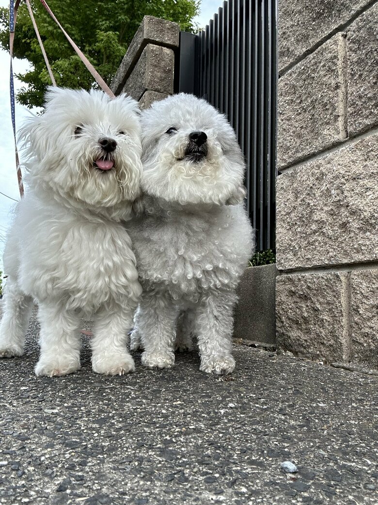 （画像：飼い主さん提供）