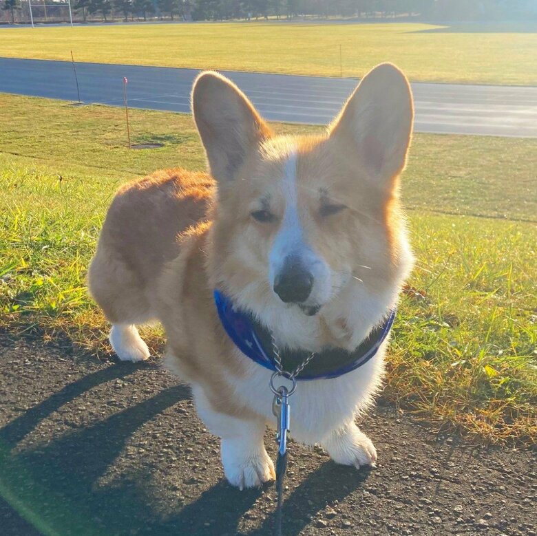 提供：むぎん家＠きよらさん