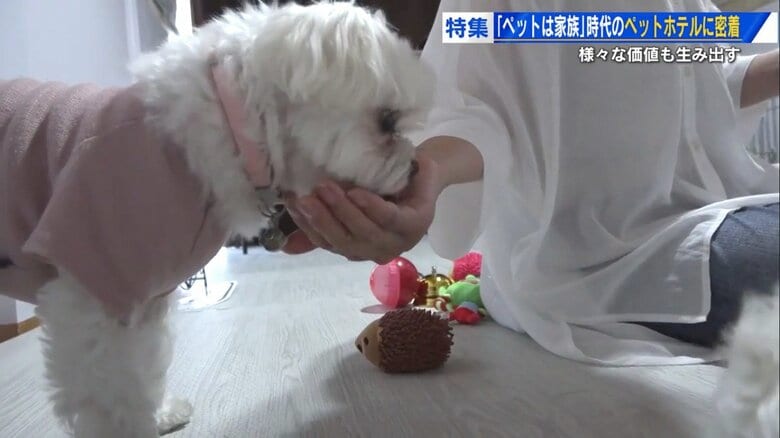 はなちゃんは手から食べる派、まる太くんはスプーン派