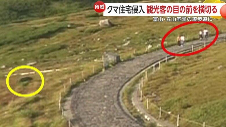 近くの遊歩道には観光客の姿